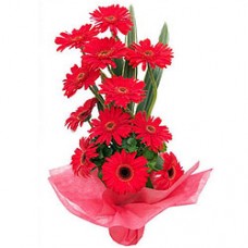 Bouquet of Red Gerberas